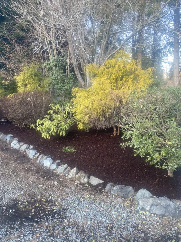 Affordable yard cleanup service for homes across Everett, WA - Felix’s Landscape