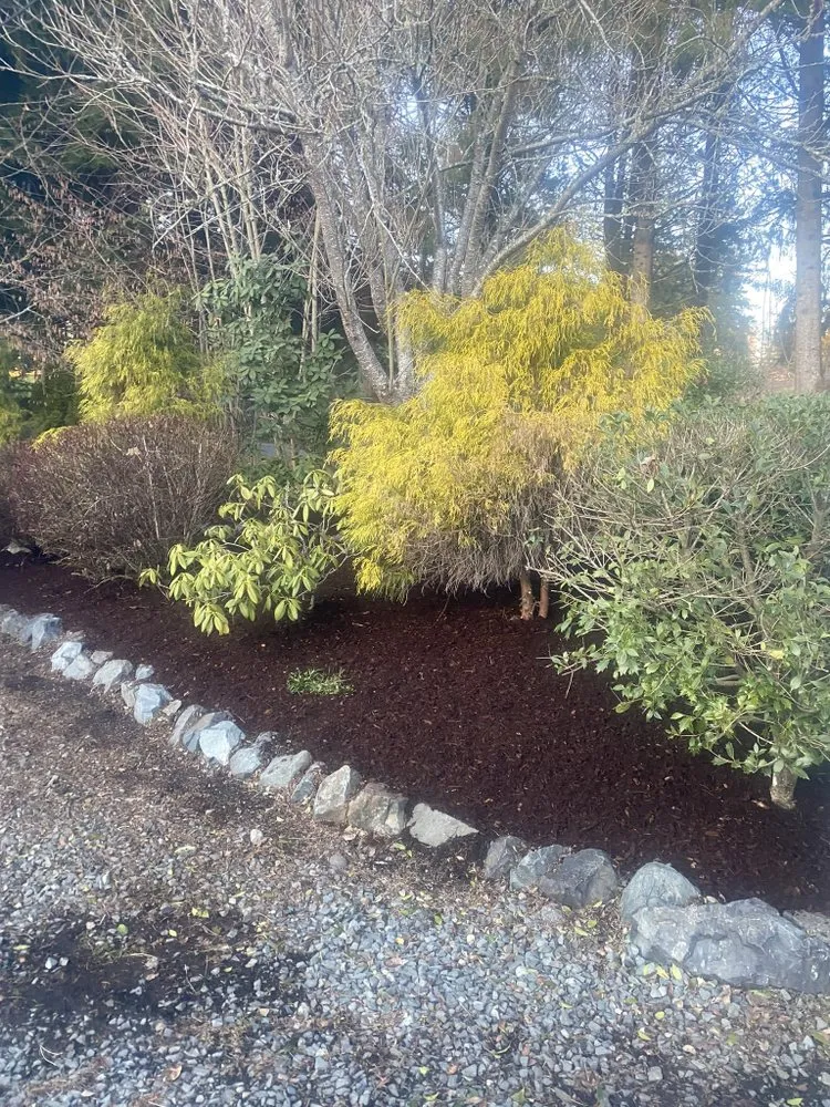 Custom yard cleanup service experts serving Everett, WA - Felix’s Landscape
