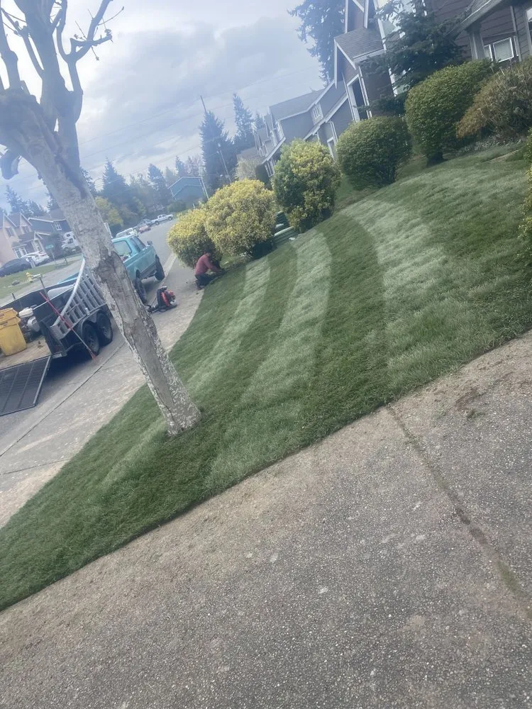 Top-rated lawn care service in Everett, WA by Felix’s Landscape