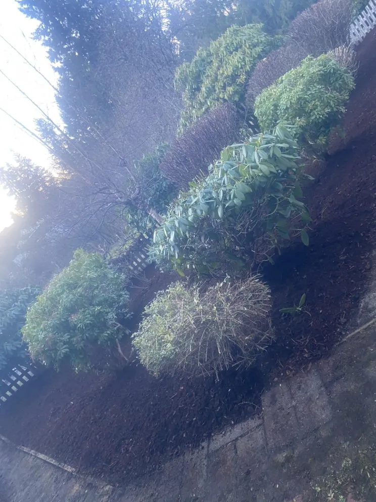 Trusted residential landscaping for residential properties across Everett, WA - Felix’s Landscape