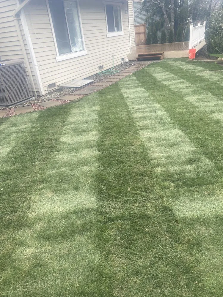 Expert landscape installation in Everett, WA by Felix’s Landscape