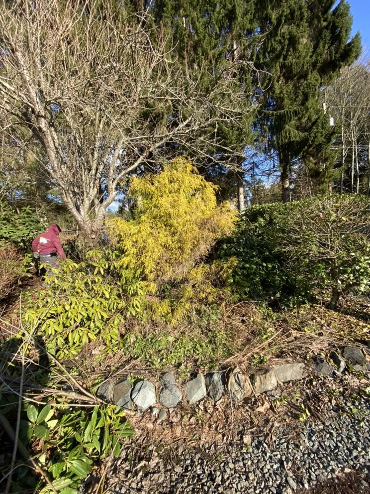 Custom lawn mowing service for homes in Everett, WA by Felix’s Landscape