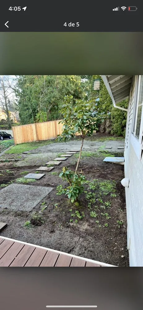 Expert landscape design for year-round maintenance in Everett, WA by Felix’s Landscape