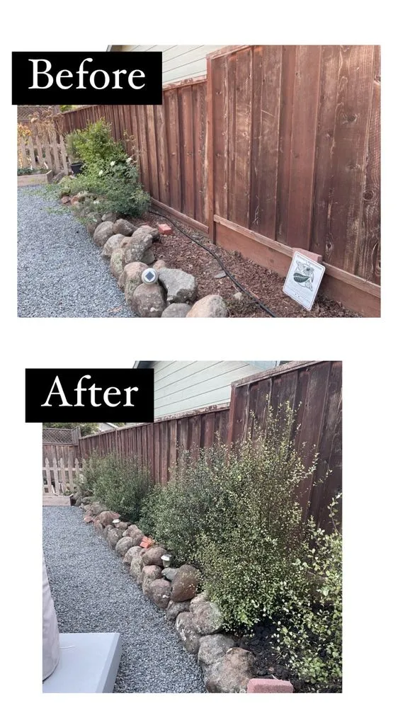 Expert yard maintenance experts serving Petaluma, CA - Felix's Landscaping & Tree Service