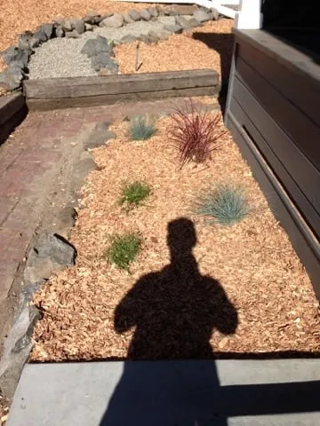 Local residential landscaping in Petaluma, CA - Felix's Landscaping & Tree Service