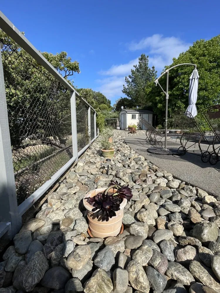 Professional lawn care service in Petaluma, CA - Felix's Landscaping & Tree Service