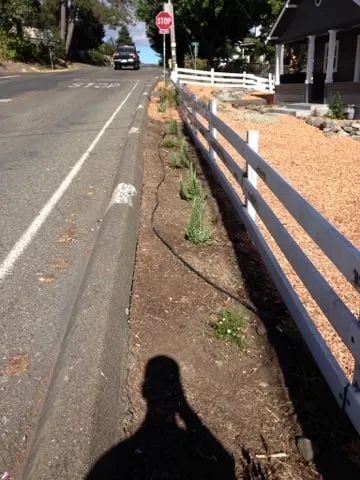 Reliable lawn mowing service in Petaluma, CA - Felix's Landscaping & Tree Service