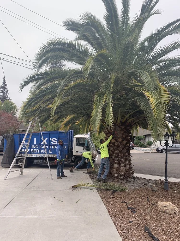 Expert landscape installation for year-round maintenance in Petaluma, CA by Felix's Landscaping & Tree Service