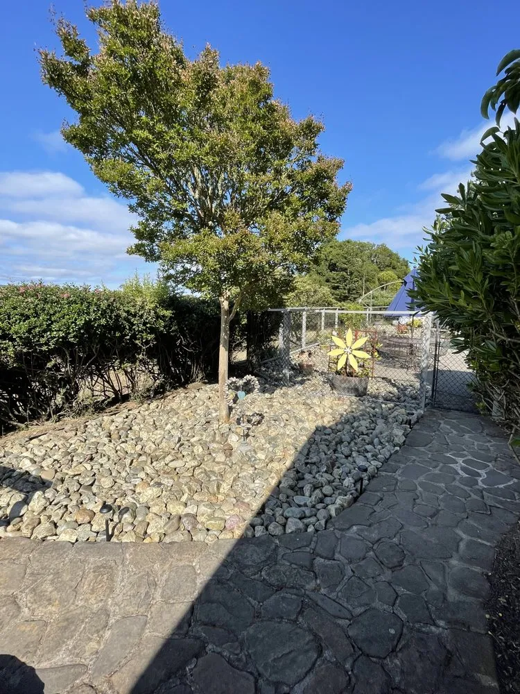 Trusted landscape installation for homes across Petaluma, CA - Felix's Landscaping & Tree Service