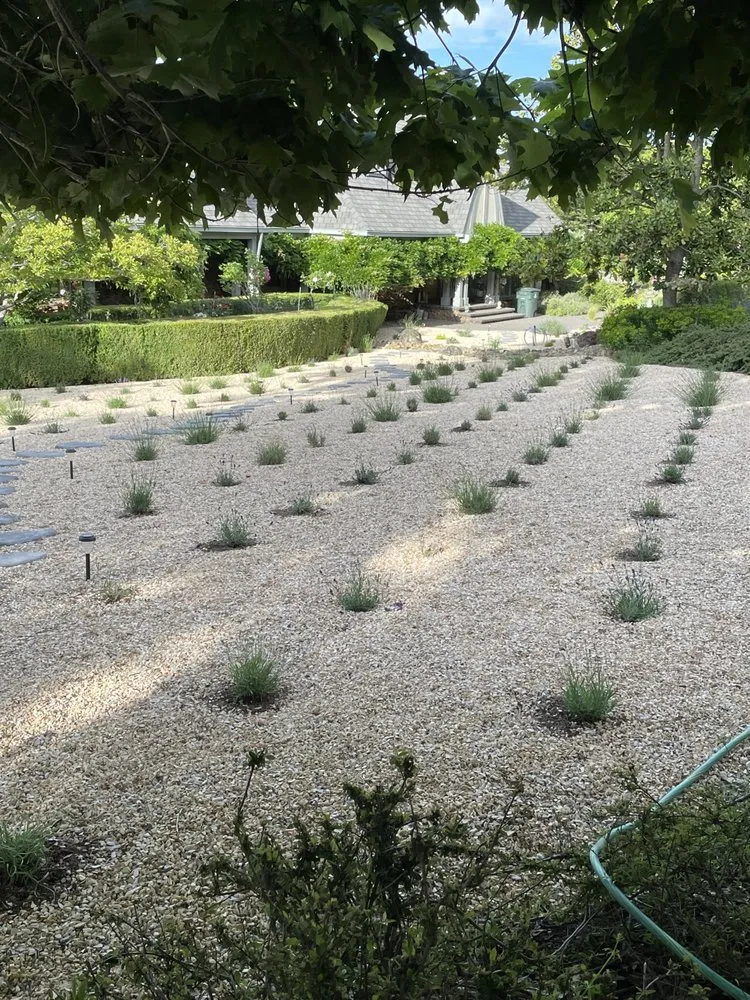 Expert lawn care service in Petaluma, CA - Felix's Landscaping & Tree Service