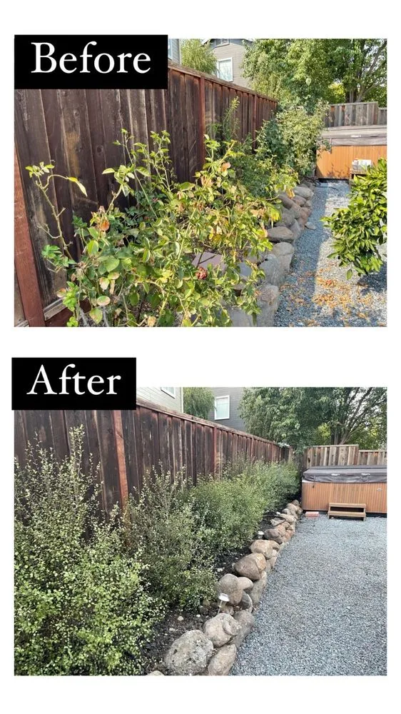 Expert lawn mowing service experts serving Petaluma, CA - Felix's Landscaping & Tree Service