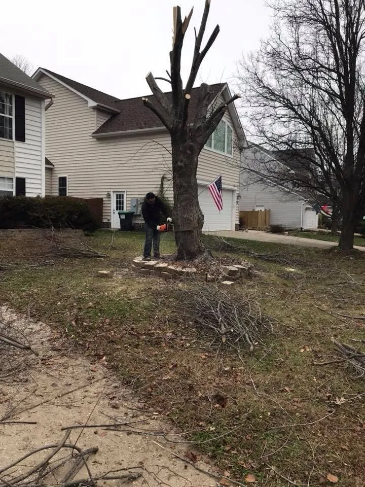 Custom yard cleanup service experts serving Stafford, VA - Felix's Lawn and Landscapes