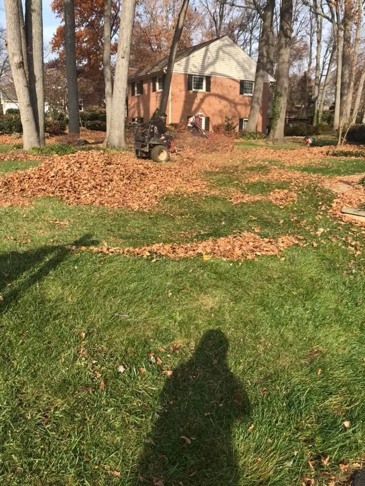 Expert residential landscaping for beautiful yards across Stafford, VA - Felix's Lawn and Landscapes