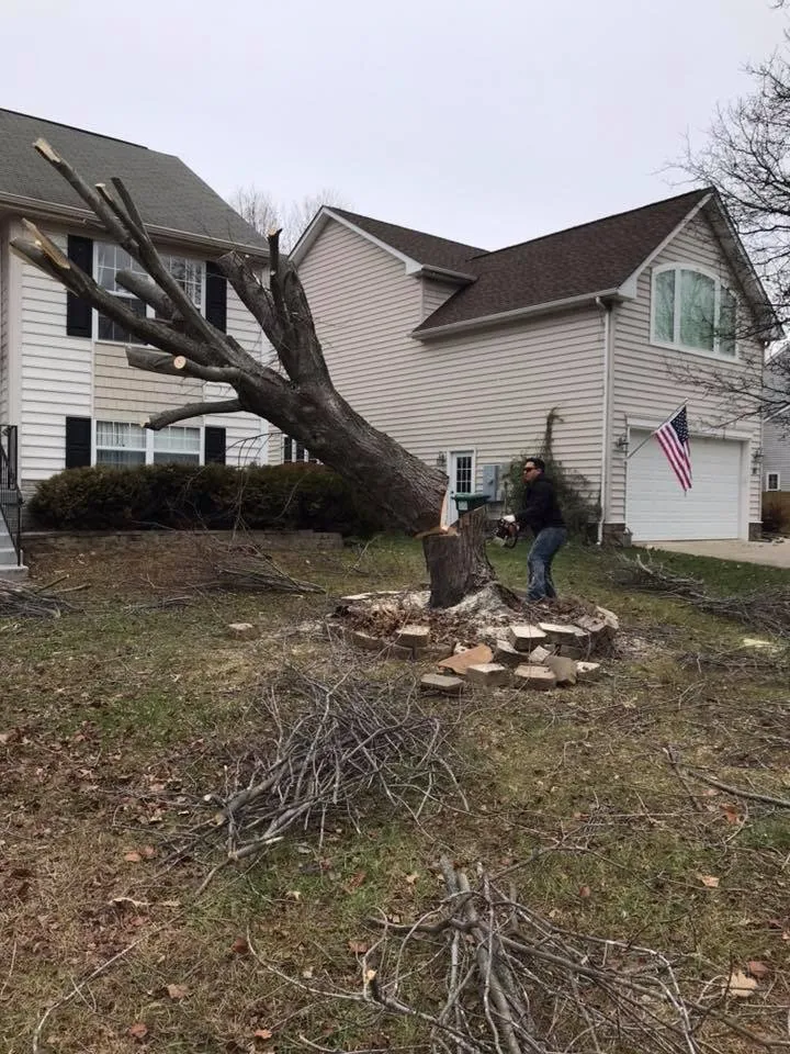 Expert landscaping services for beautiful yards across Stafford, VA - Felix's Lawn and Landscapes