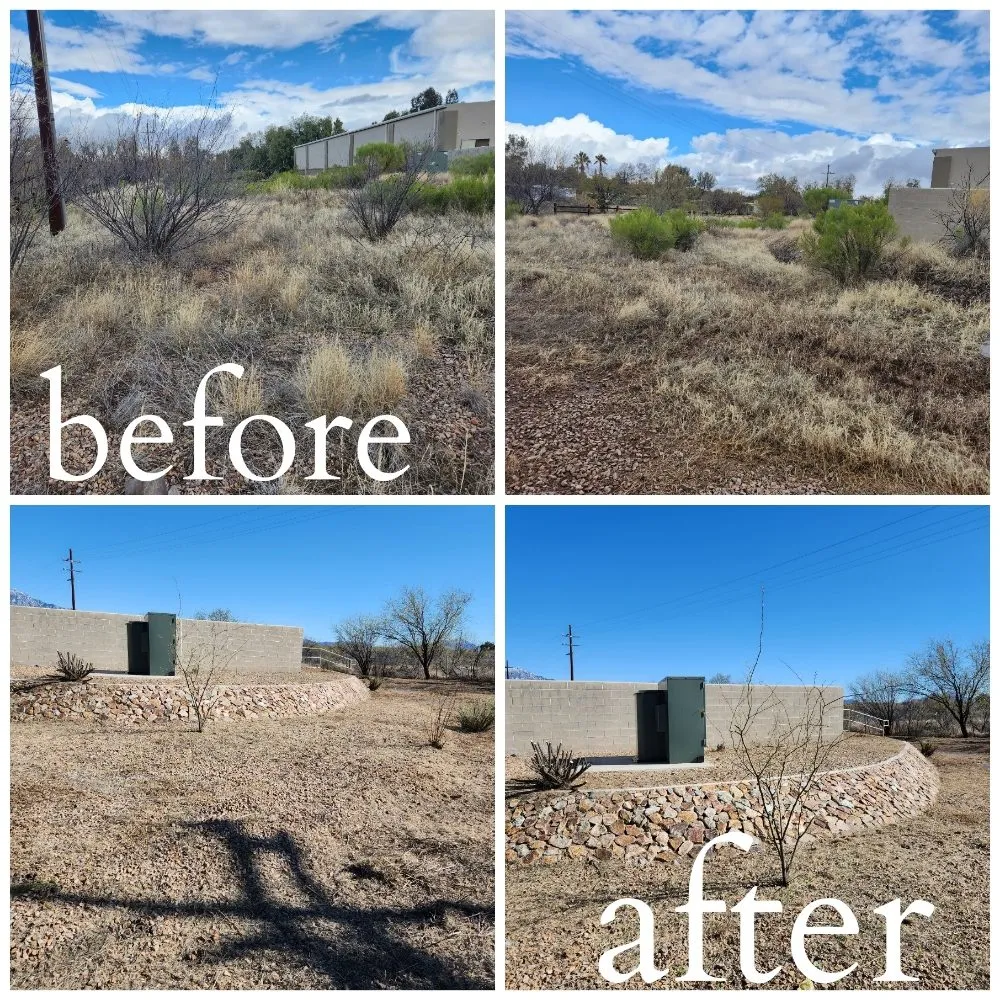 Custom residential landscaping in Tucson, AZ by Felix's Yard Renewal and Trash Removal