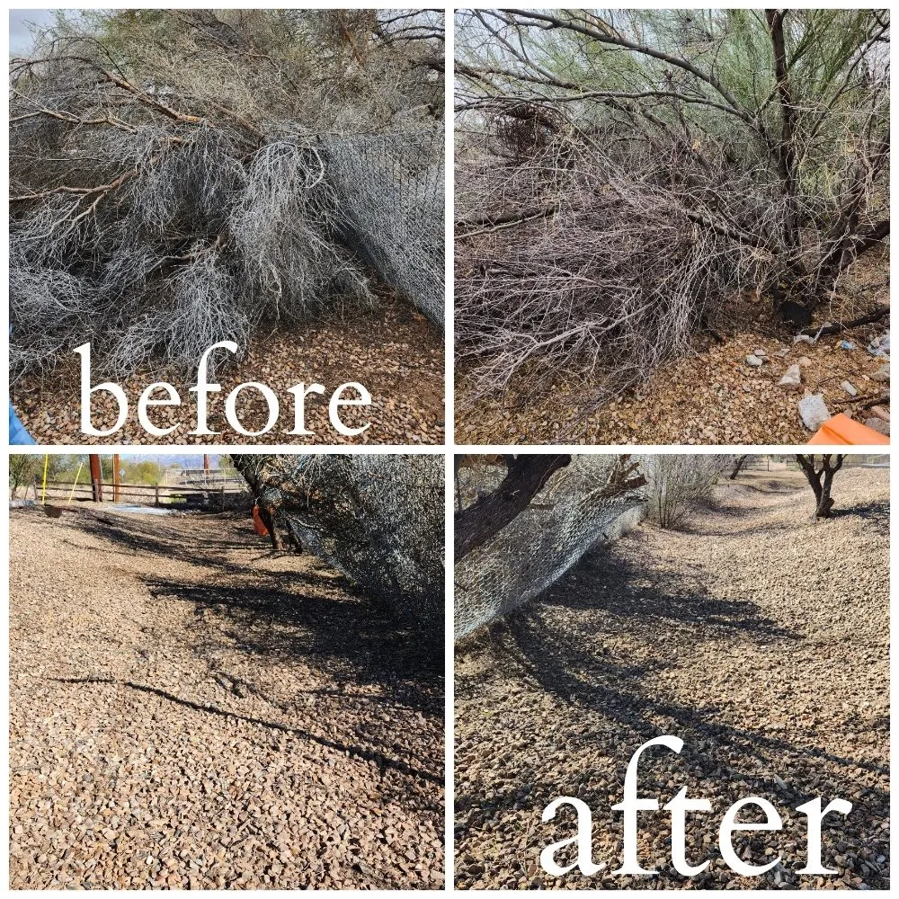 Local garden landscaping near you in Tucson, AZ by Felix's Yard Renewal and Trash Removal