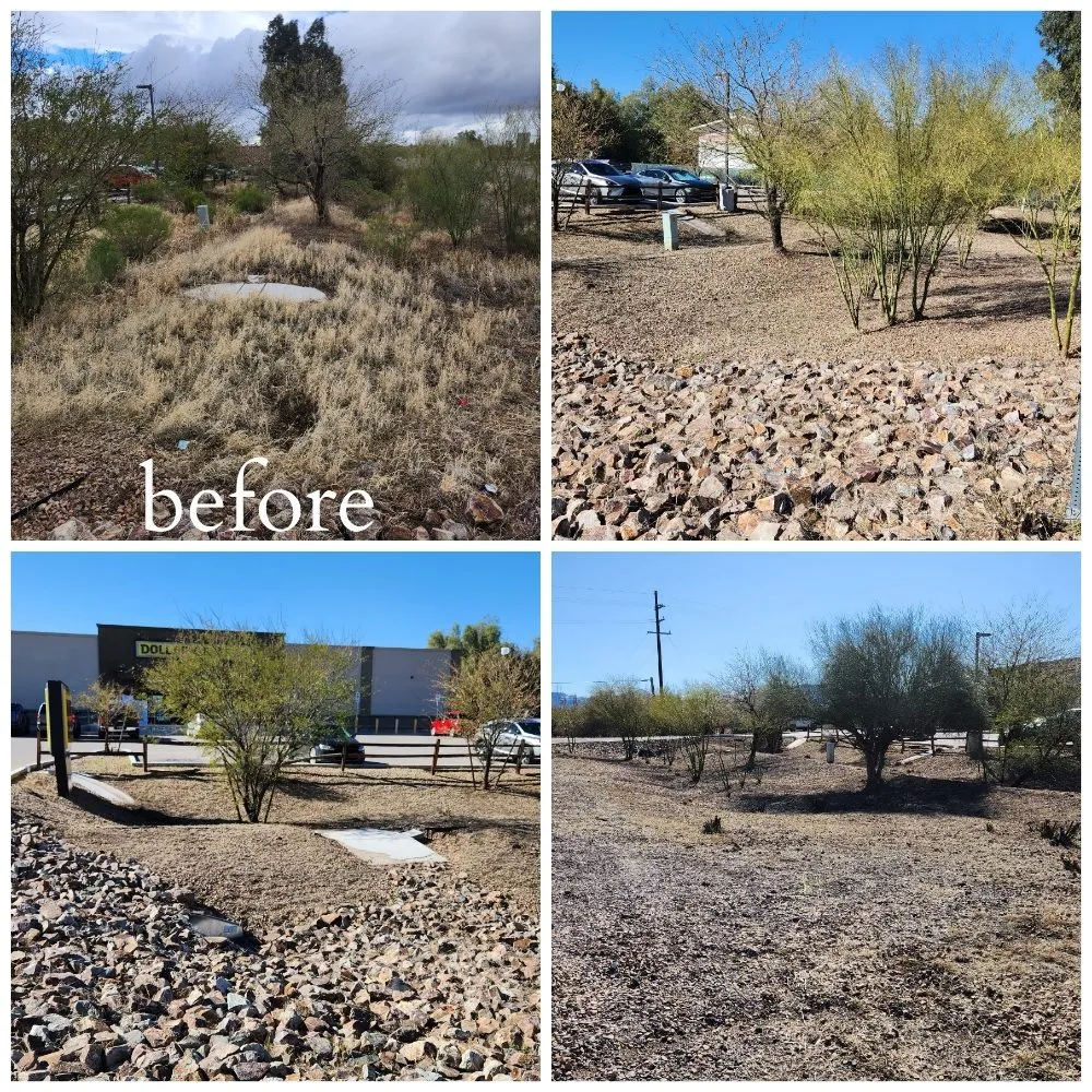 Custom yard cleanup service experts serving Tucson, AZ - Felix's Yard Renewal and Trash Removal