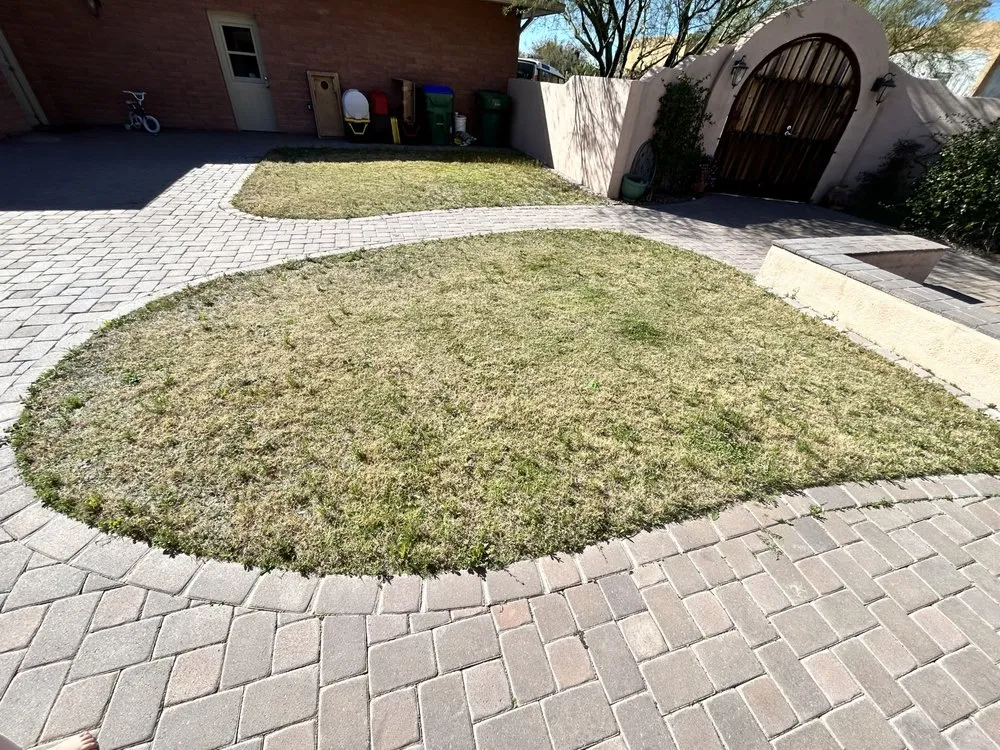 Trusted yard maintenance in Tucson, AZ - Felix's Yard Renewal and Trash Removal