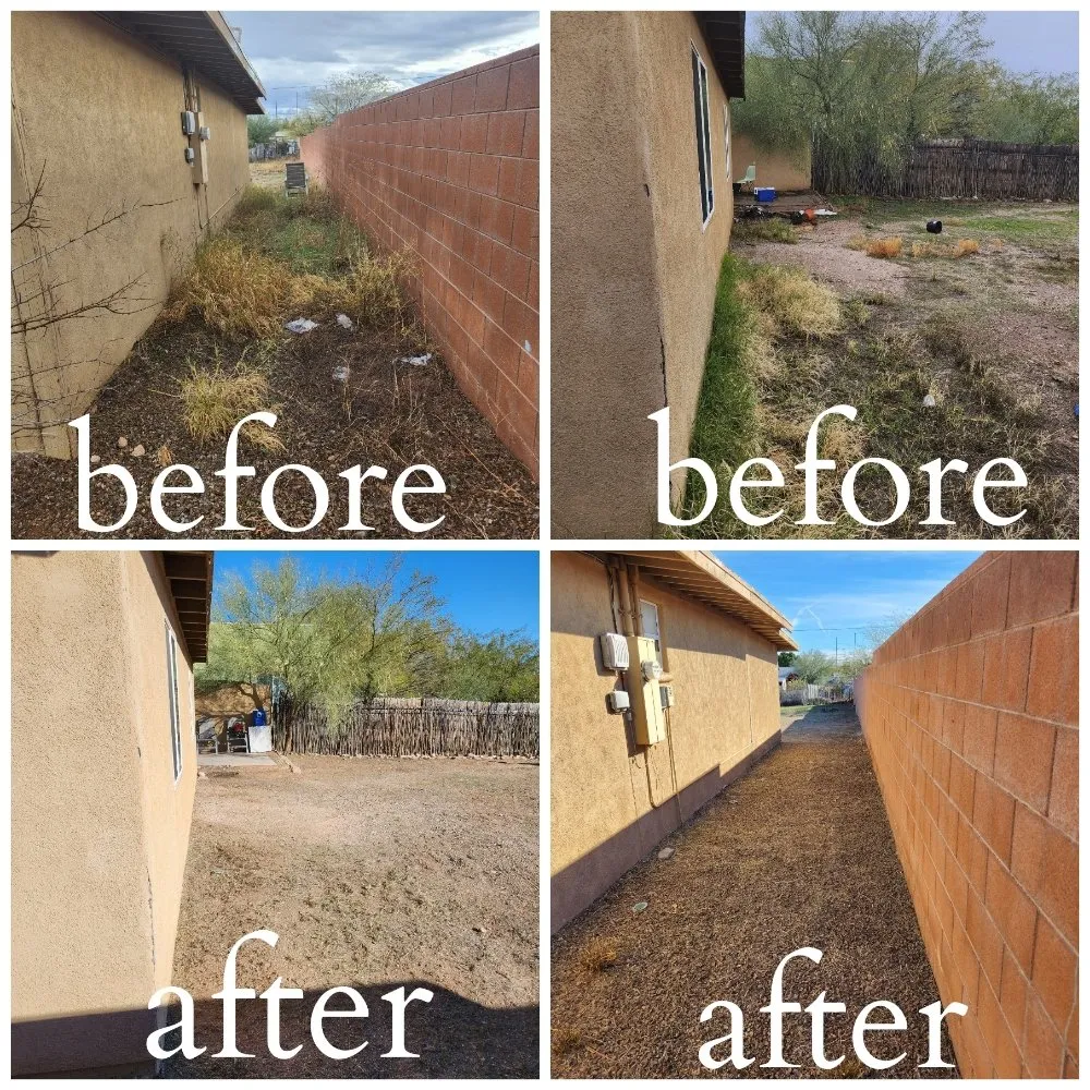 Top-rated yard cleanup service in Tucson, AZ - Felix's Yard Renewal and Trash Removal