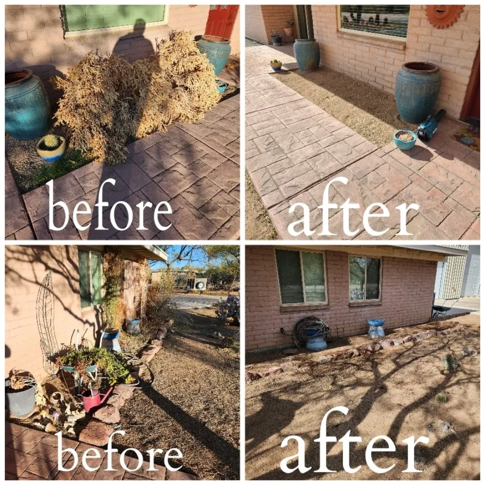 Local yard maintenance experts serving Tucson, AZ - Felix's Yard Renewal and Trash Removal