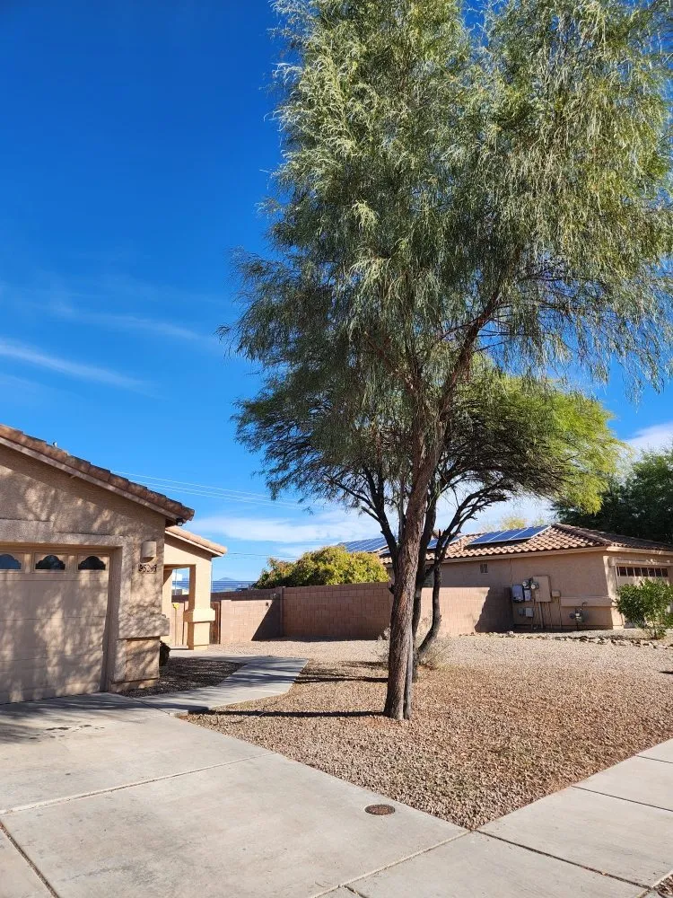 Professional landscape installation for year-round maintenance across Tucson, AZ - Felix's Yard Renewal and Trash Removal