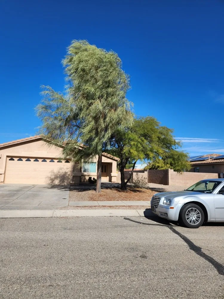 Trusted landscaping services for beautiful yards in Tucson, AZ by Felix's Yard Renewal and Trash Removal