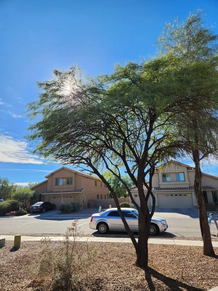 Reliable lawn mowing service experts serving Tucson, AZ - Felix's Yard Renewal and Trash Removal