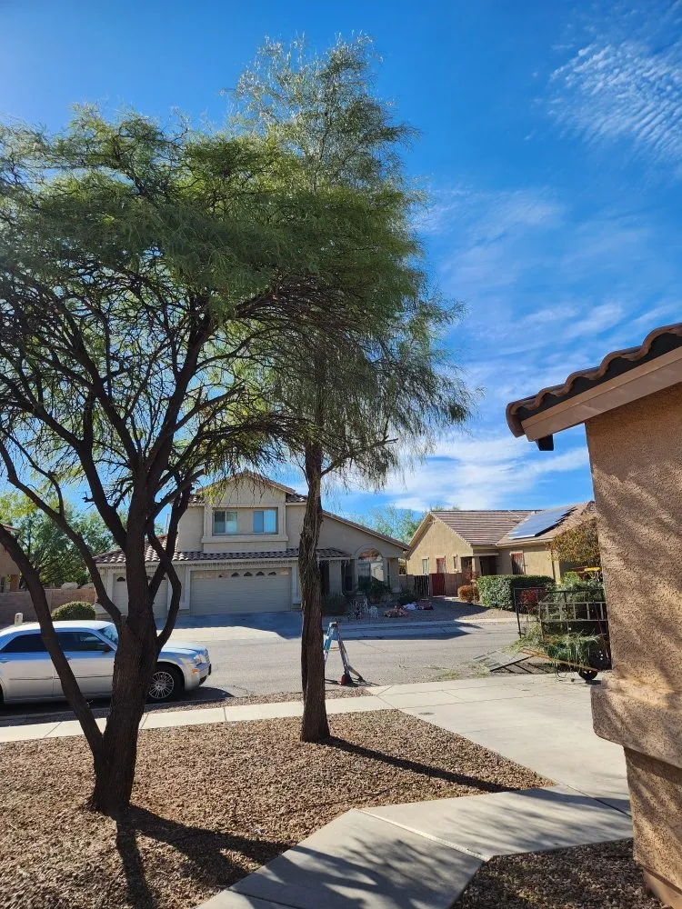 Top-rated yard maintenance for outdoor upgrades across Tucson, AZ - Felix's Yard Renewal and Trash Removal