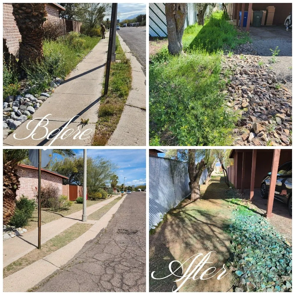 Custom yard maintenance in Tucson, AZ - Felix's Yard Renewal and Trash Removal