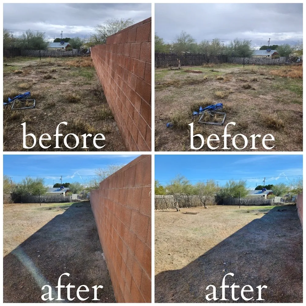 Local lawn care service for year-round maintenance in Tucson, AZ by Felix's Yard Renewal and Trash Removal