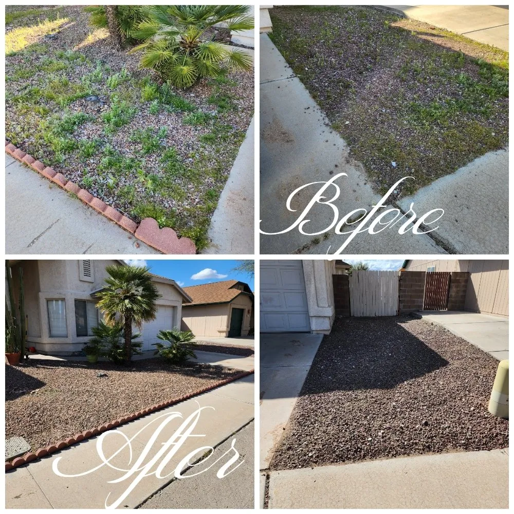Professional yard cleanup service in Tucson, AZ by Felix's Yard Renewal and Trash Removal