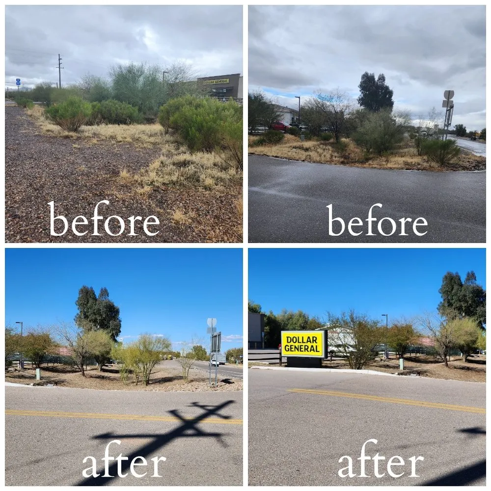 Local lawn care service for homes in Tucson, AZ by Felix's Yard Renewal and Trash Removal