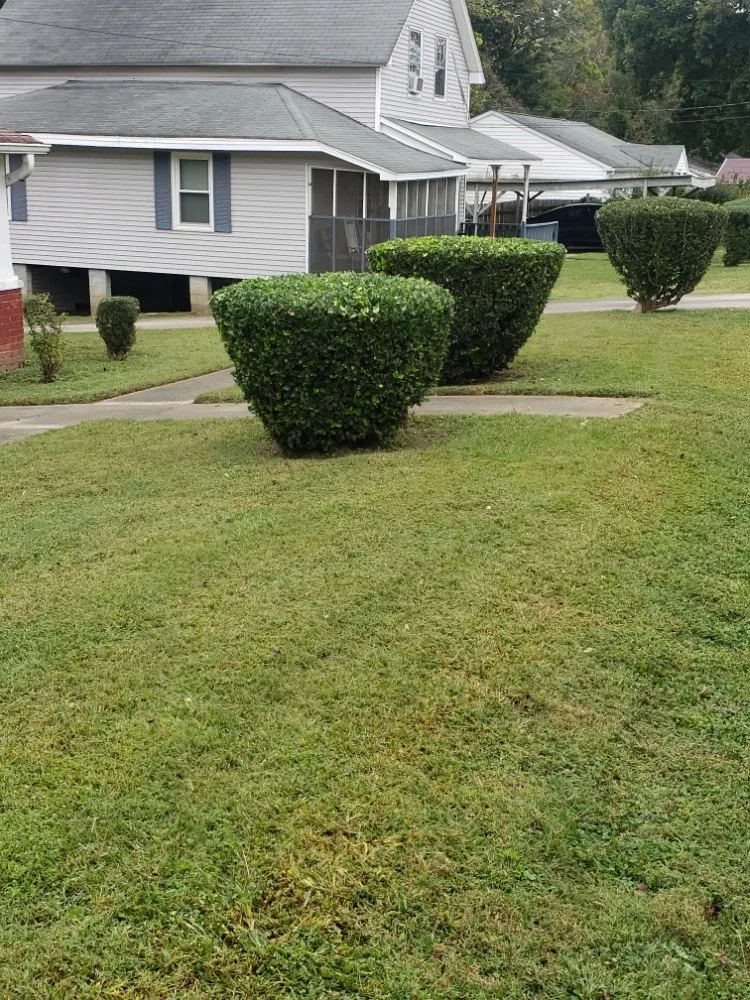 Local landscaping services for homes across Burlington, NC - Felton Lawn Care