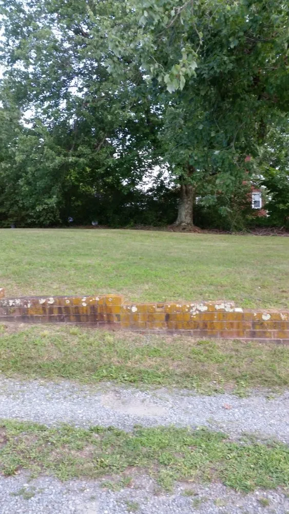 Expert yard cleanup service near you in Burlington, NC by Felton Lawn Care