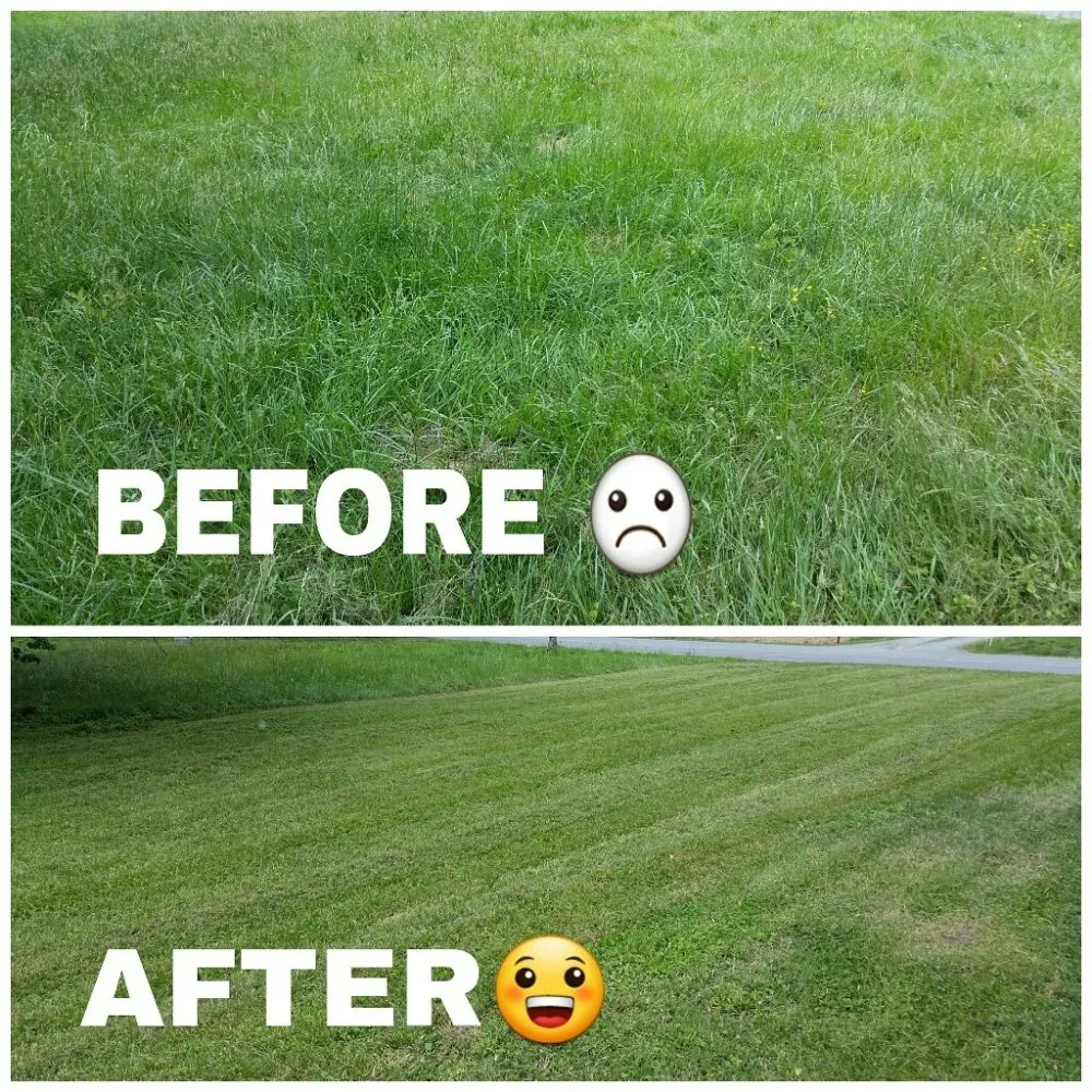 Expert lawn care service in Burlington, NC - Felton Lawn Care