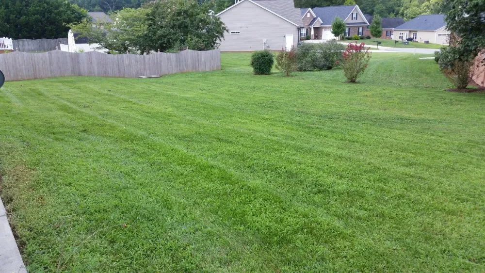 Local residential landscaping experts serving Burlington, NC - Felton Lawn Care