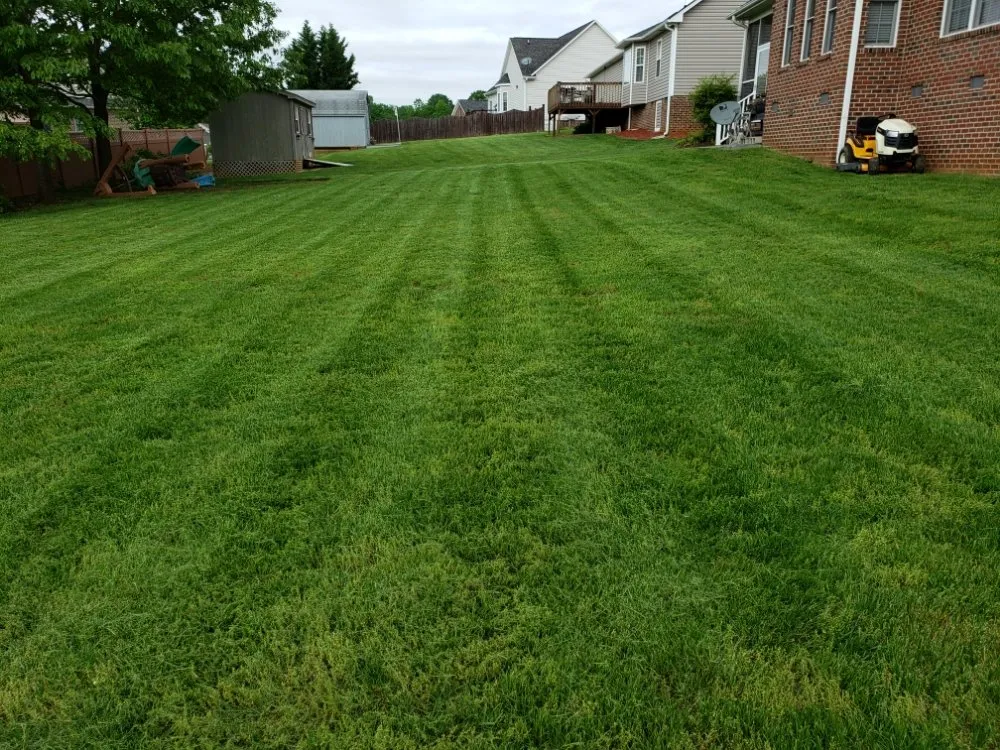 Reliable landscaping services in Burlington, NC - Felton Lawn Care