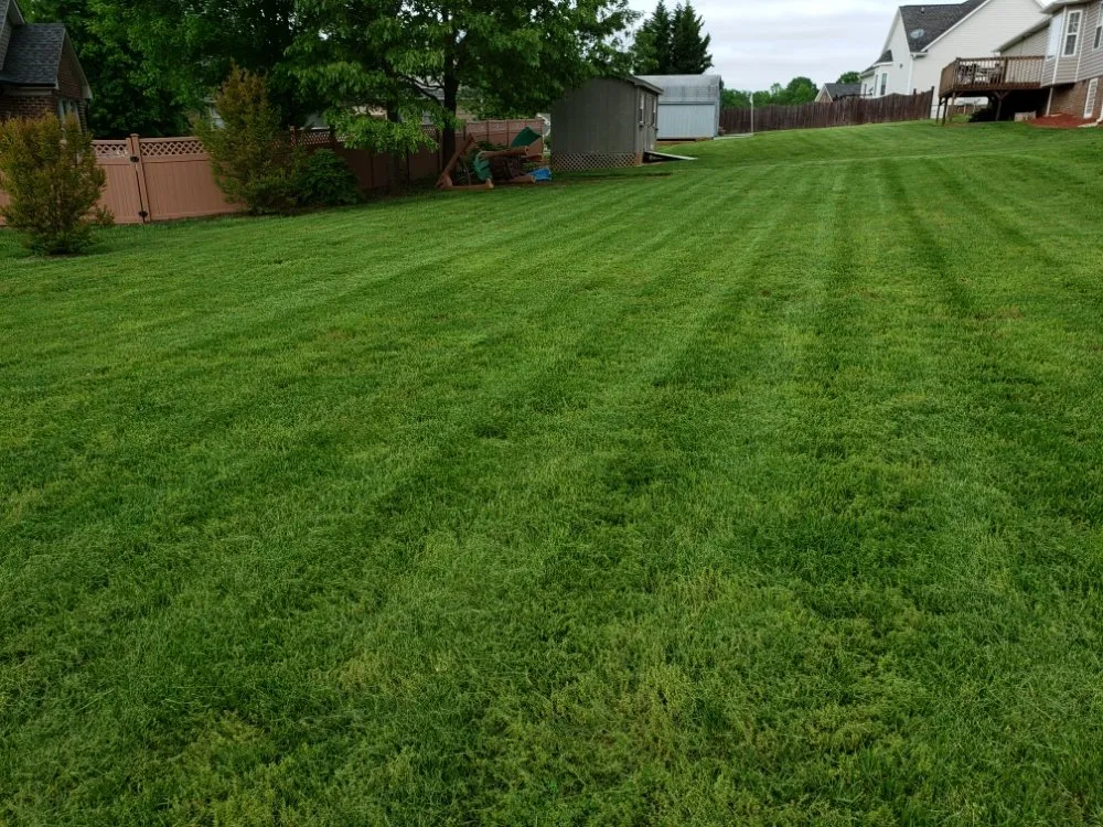 Top-rated residential landscaping experts serving Burlington, NC - Felton Lawn Care
