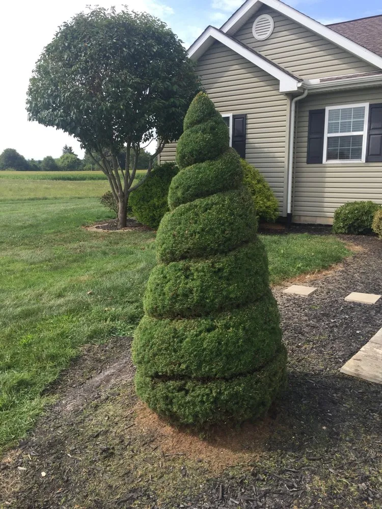 Trusted residential landscaping for outdoor upgrades in Newark, OH by Felumlee Property Solutions