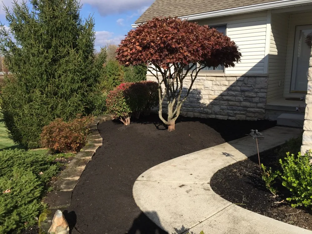 Local yard cleanup service experts serving Newark, OH - Felumlee Property Solutions