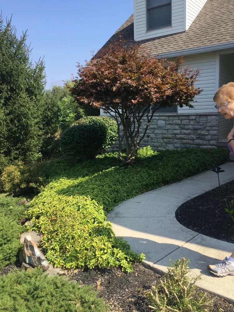 Professional landscaping services in Newark, OH - Felumlee Property Solutions