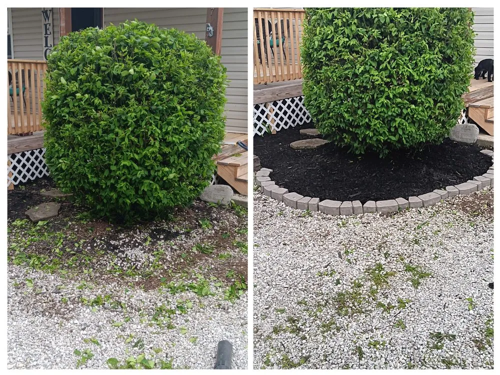 Custom lawn mowing service in Tiffin, OH by Fence And Moore