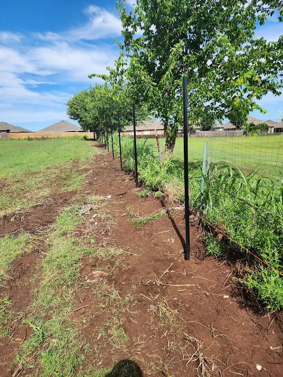 Professional lawn care service for homes in Oklahoma City, OK by Fence by Kinsey