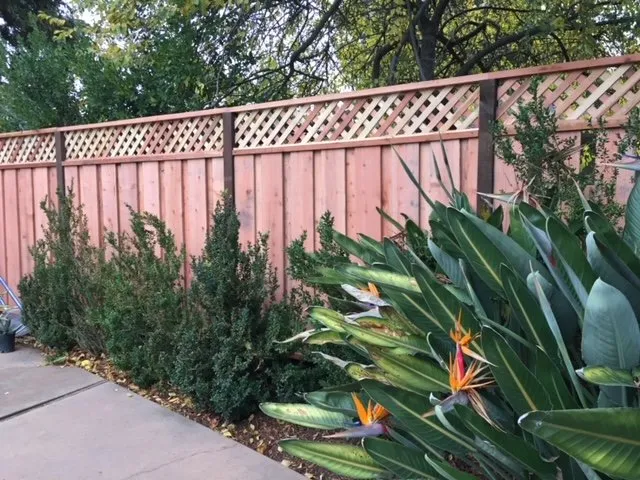 Custom yard maintenance experts serving Sacramento, CA - Fence Fix