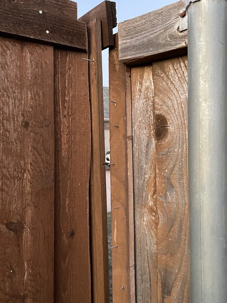 Affordable yard cleanup service in Dallas, TX by Fence Install and Landscaping