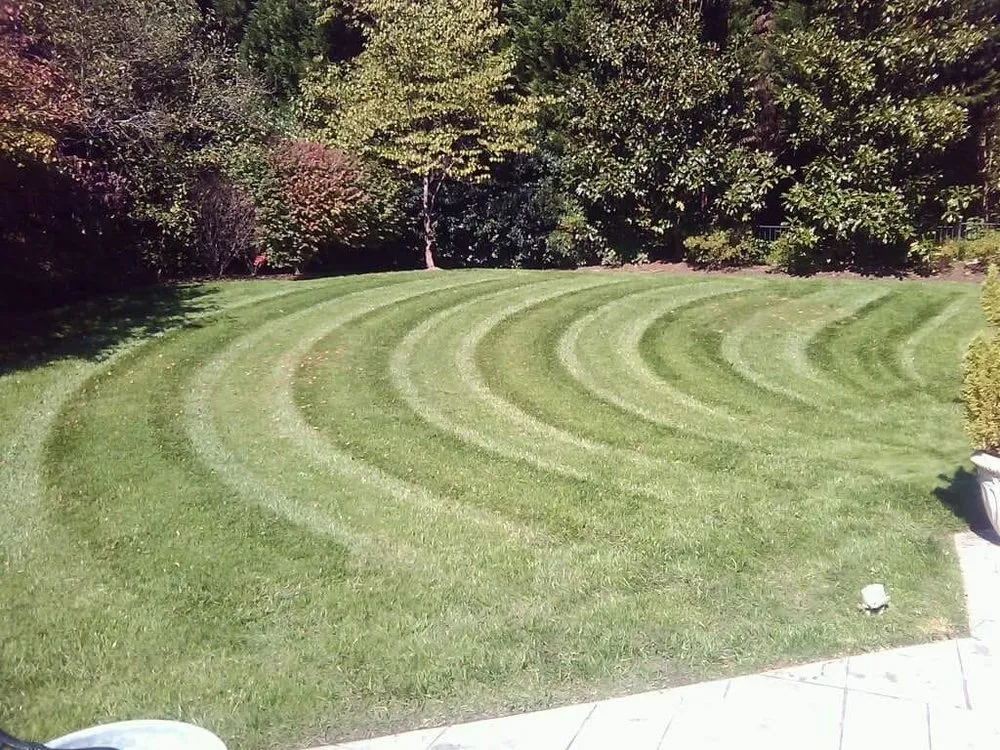 Trusted lawn mowing service experts serving Henrico, VA - Fence Line Clean Up