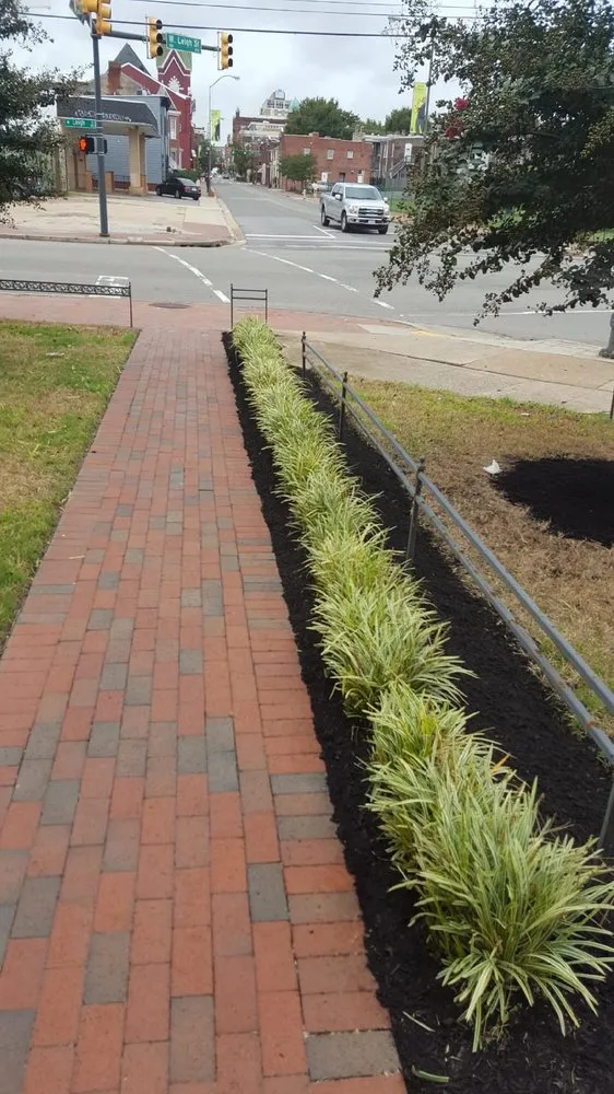 Custom yard cleanup service for residential properties in Henrico, VA by Fence Line Clean Up