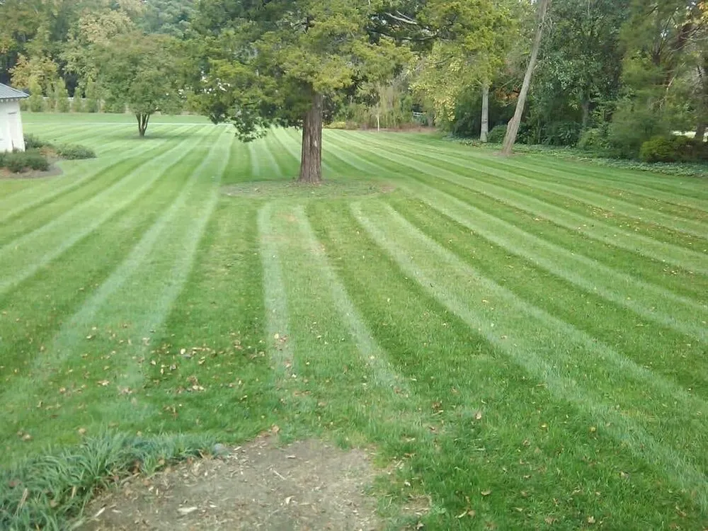 Custom yard maintenance near you in Henrico, VA by Fence Line Clean Up