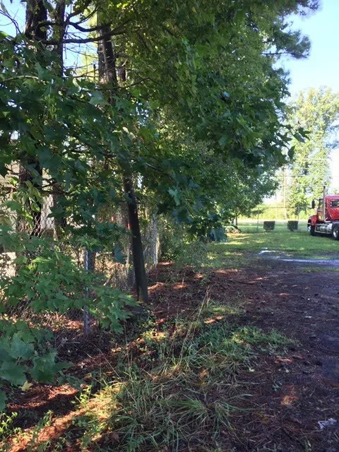 Local landscaping services for beautiful yards across Henrico, VA - Fence Line Clean Up