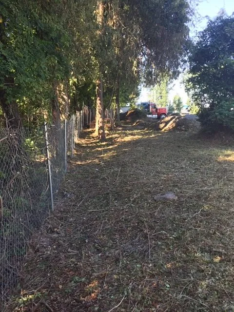 Affordable outdoor landscaping for beautiful yards in Henrico, VA by Fence Line Clean Up